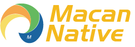 Macan Native